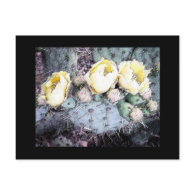 Cactus Flower Digital Ink Postcard