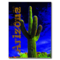 Mighty Saguaro (118), Arizona Postcard