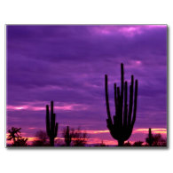 Sunset, Scottsdale, Arizona Postcards