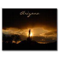 Arizona Sunset Postcard