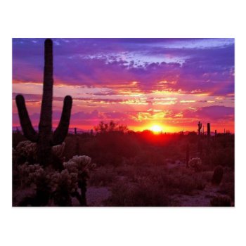 arizona sunset postcard