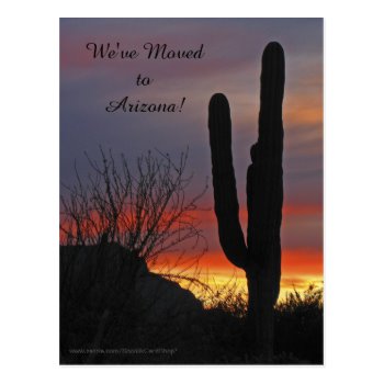 Saguaro at Sunset, New Address Announcement Postcard