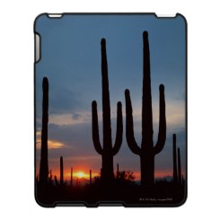 Saguaro cacti silhouetted at sunset ipad case